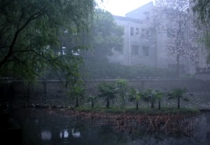 Fog, not pollution, for a change