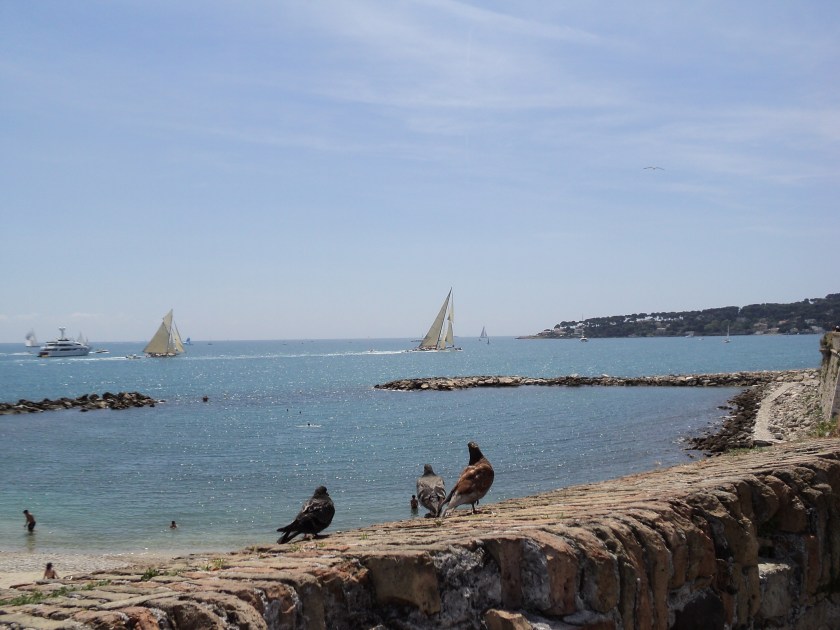voiles antibes 011