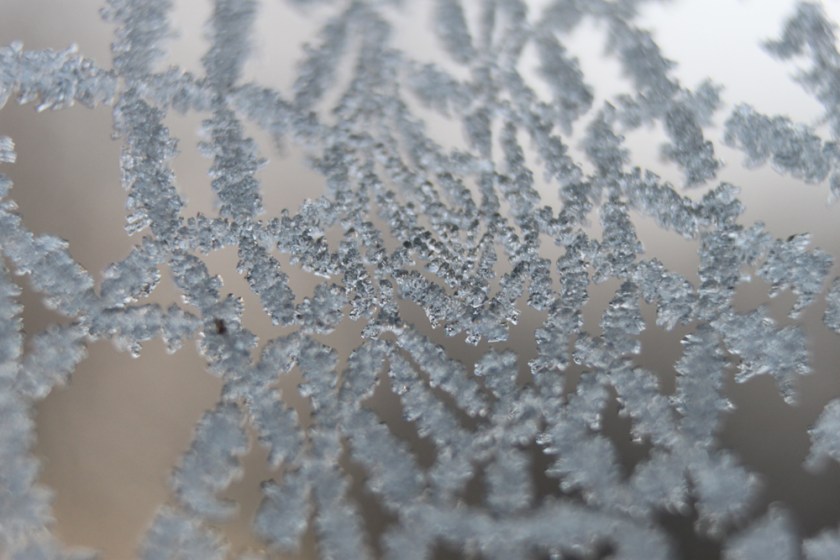 IMG_4879-Garden-ice
