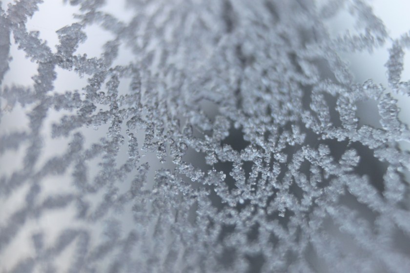 IMG_4883-Garden-ice
