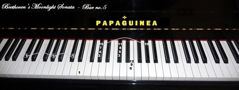 Beethoven's Moonlight Sonata, Bar no. 5.