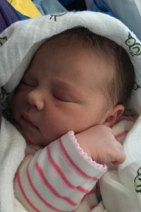 Boglette 11th April 2016